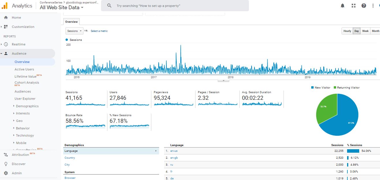 Visitor Analysis Report